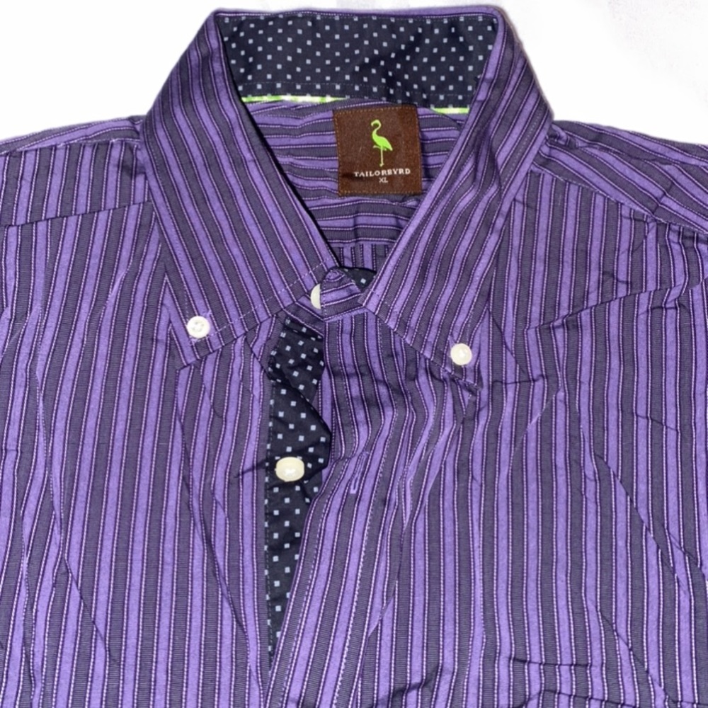 Tailorbyrd Striped Button Down - image 7